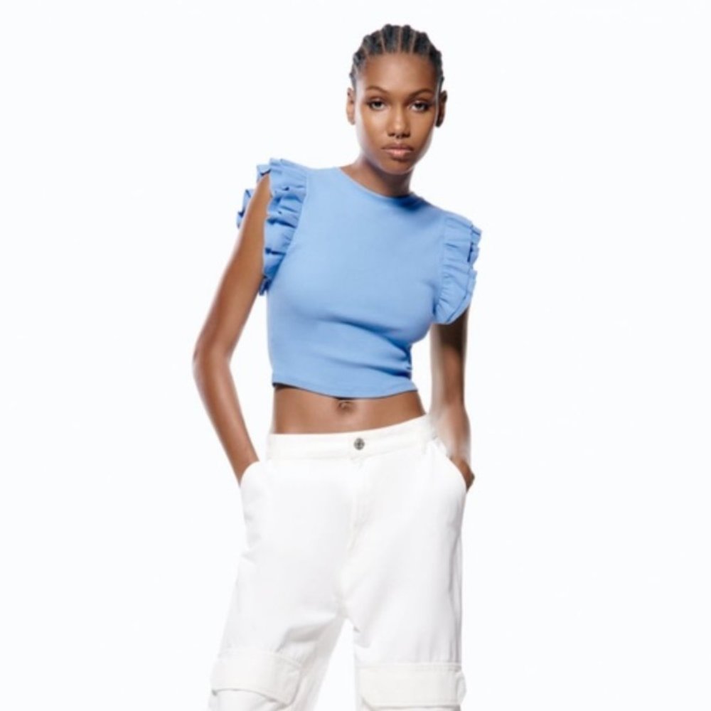 Zara Ruffled Sleeved Top Blue